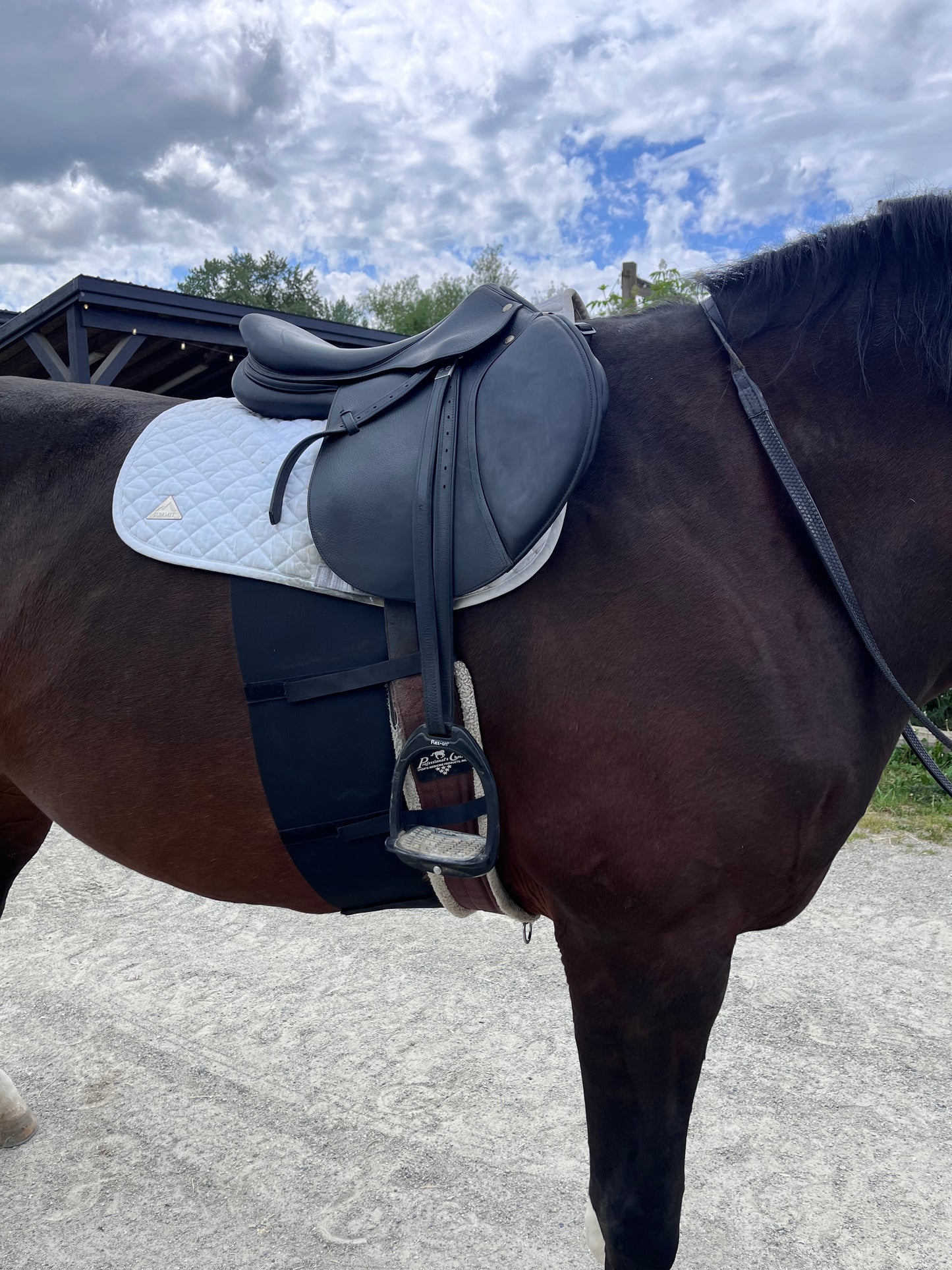 EquiBand Belly Bands
